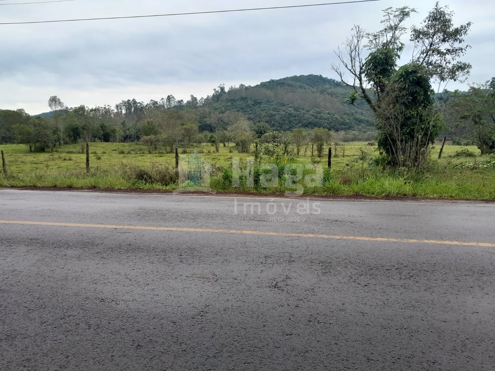 Fazenda de 20 ha em Turvo, SC