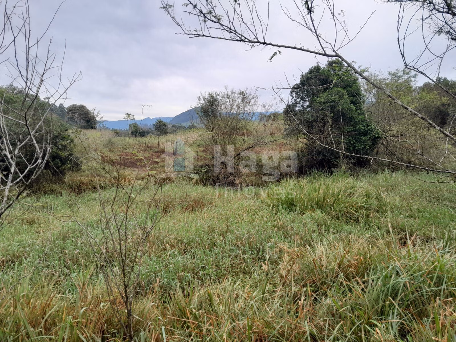 Fazenda de 20 ha em Turvo, SC