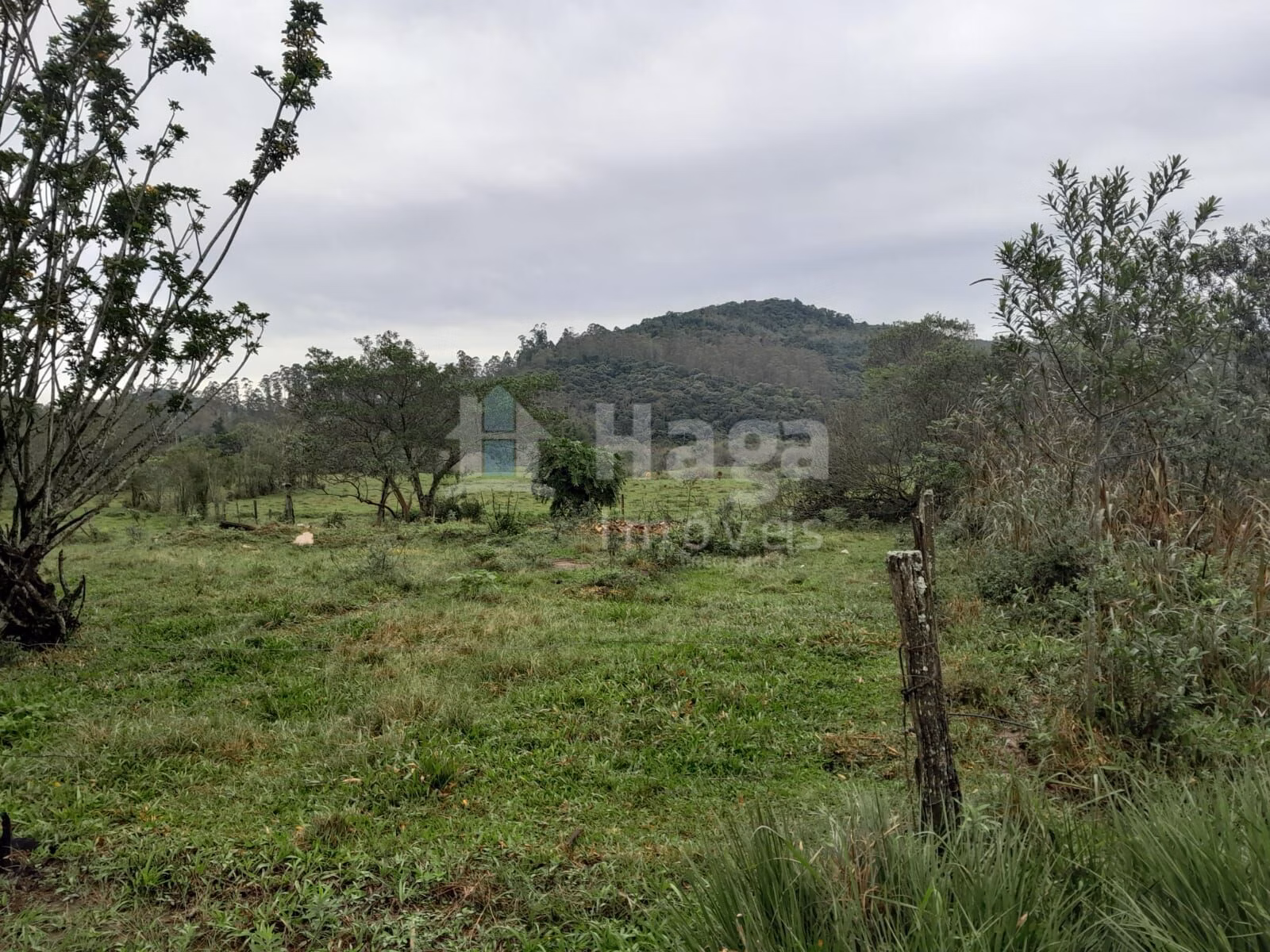 Fazenda de 20 ha em Turvo, SC