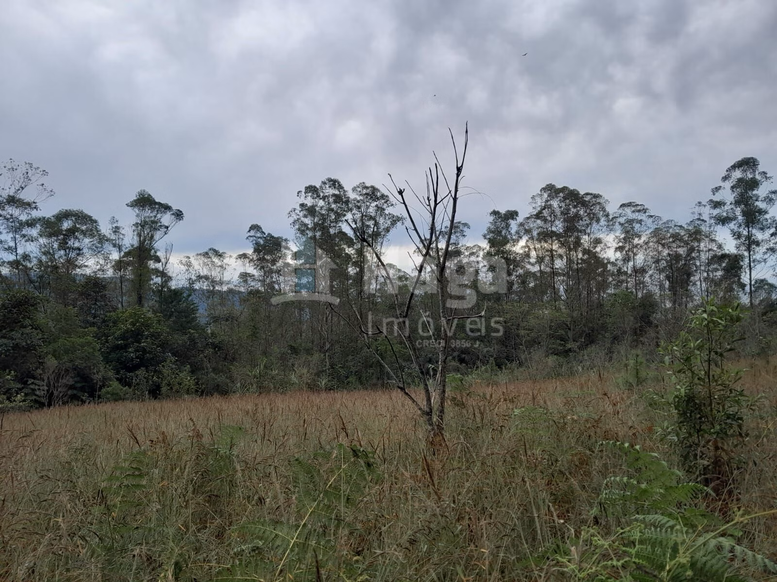 Fazenda de 20 ha em Turvo, SC