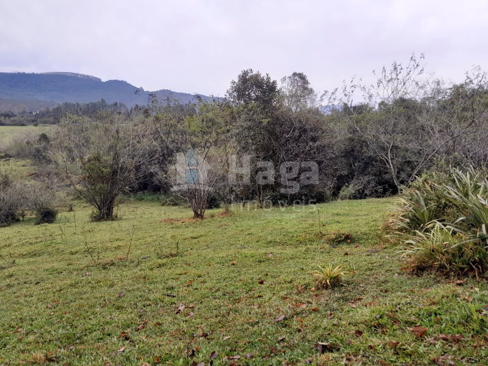 Fazenda de 20 ha em Turvo, SC