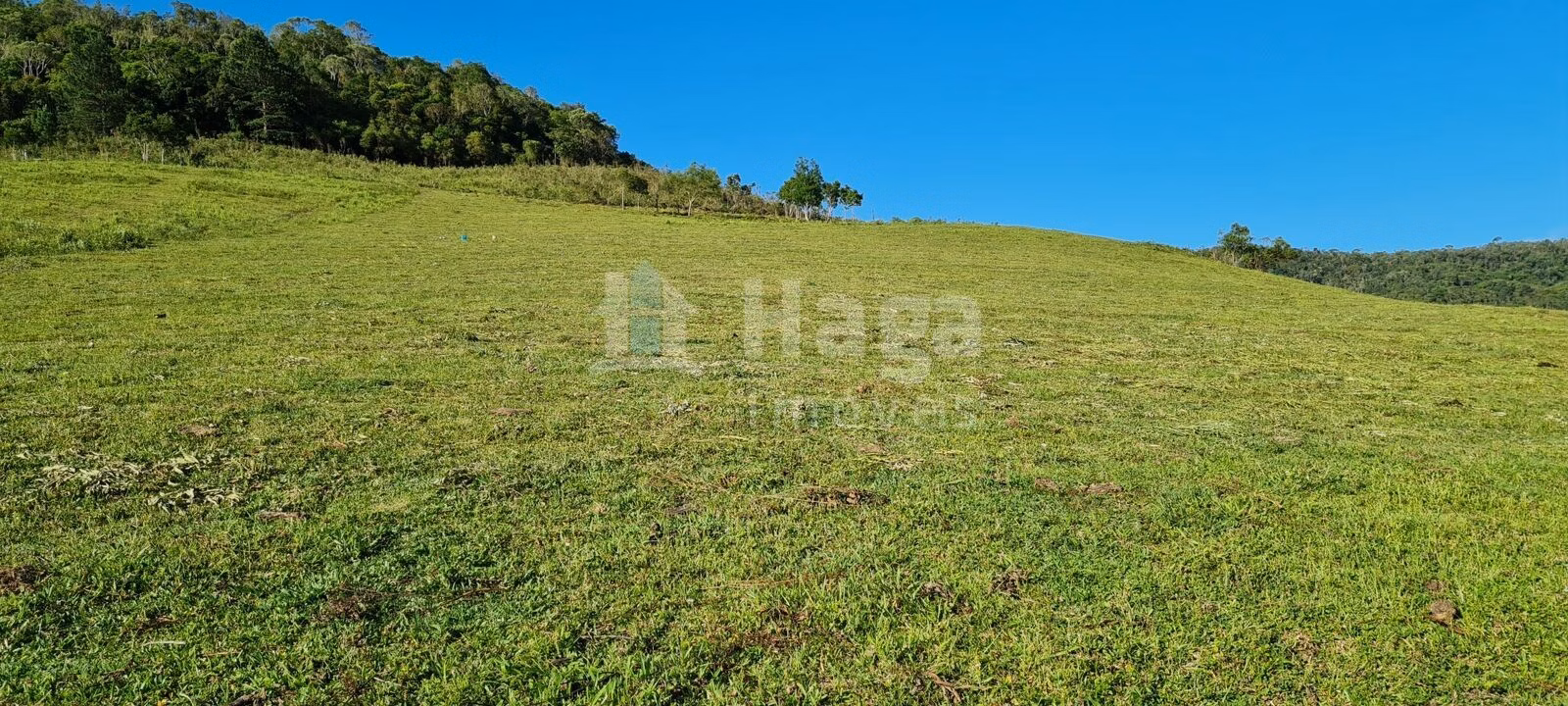 Fazenda de 28 ha em Alfredo Wagner, SC
