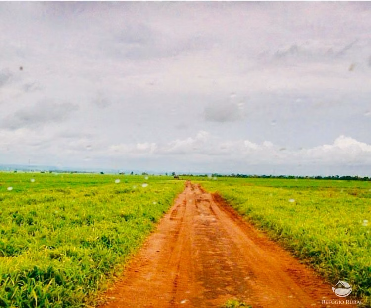 Fazenda de 836 ha em Chapadão do Sul, MS