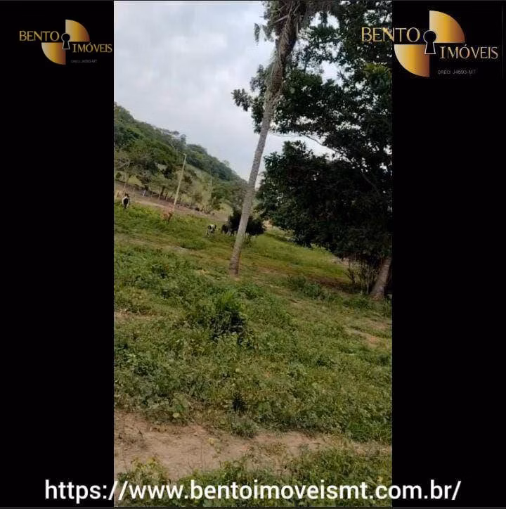 Farm of 1,196 acres in Cáceres, MT, Brazil