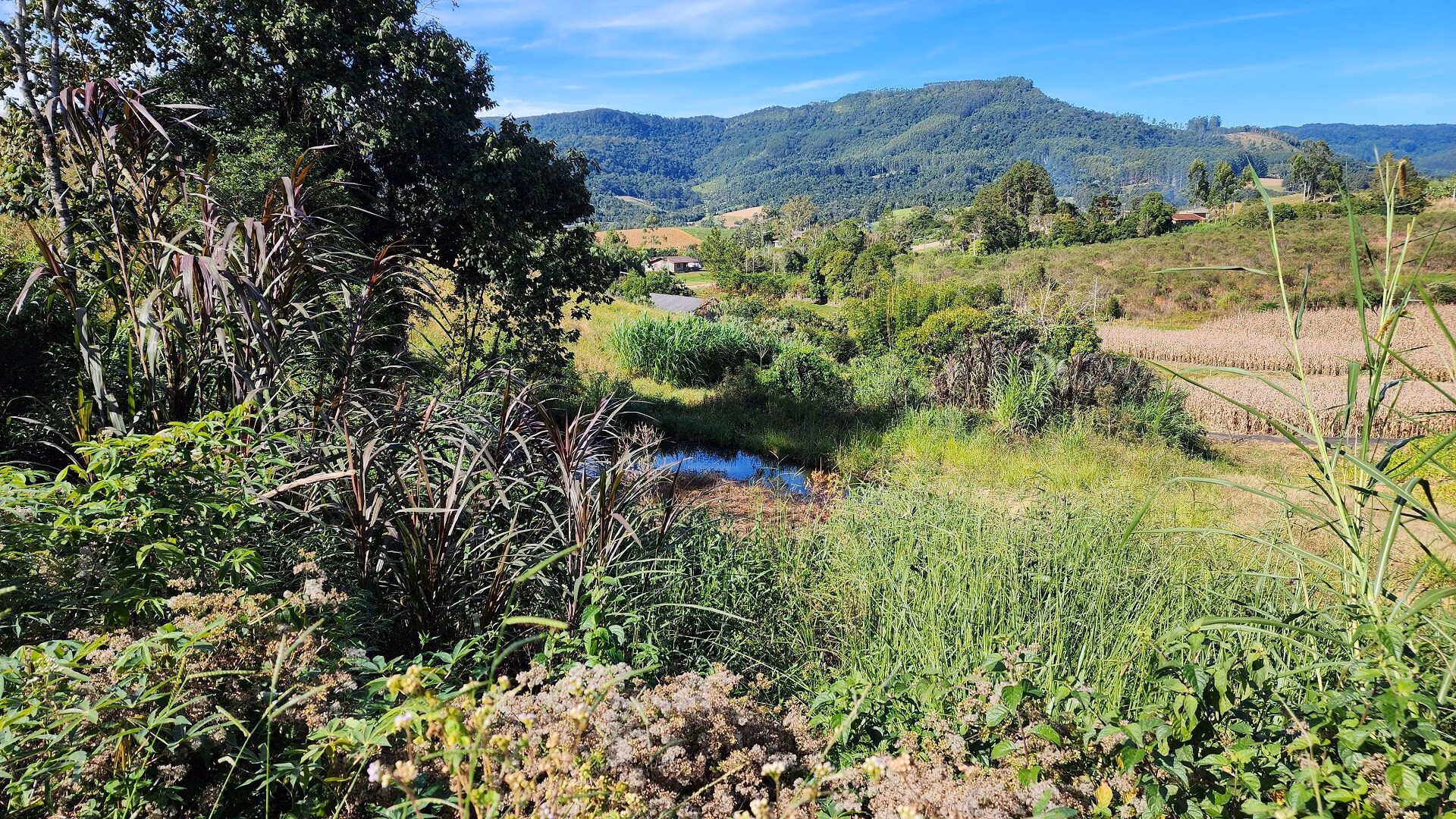 Terreno de 4 ha em Lontras, SC