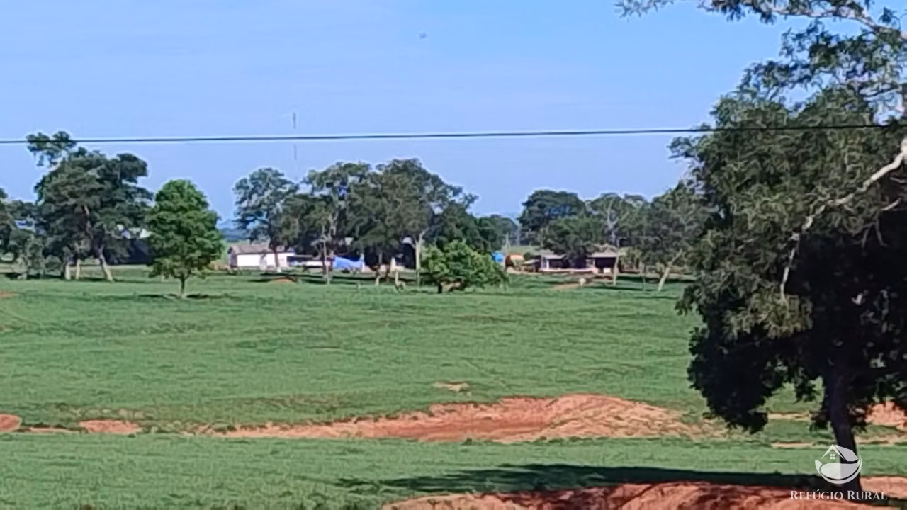 Fazenda de 4.200 ha em Guiratinga, MT
