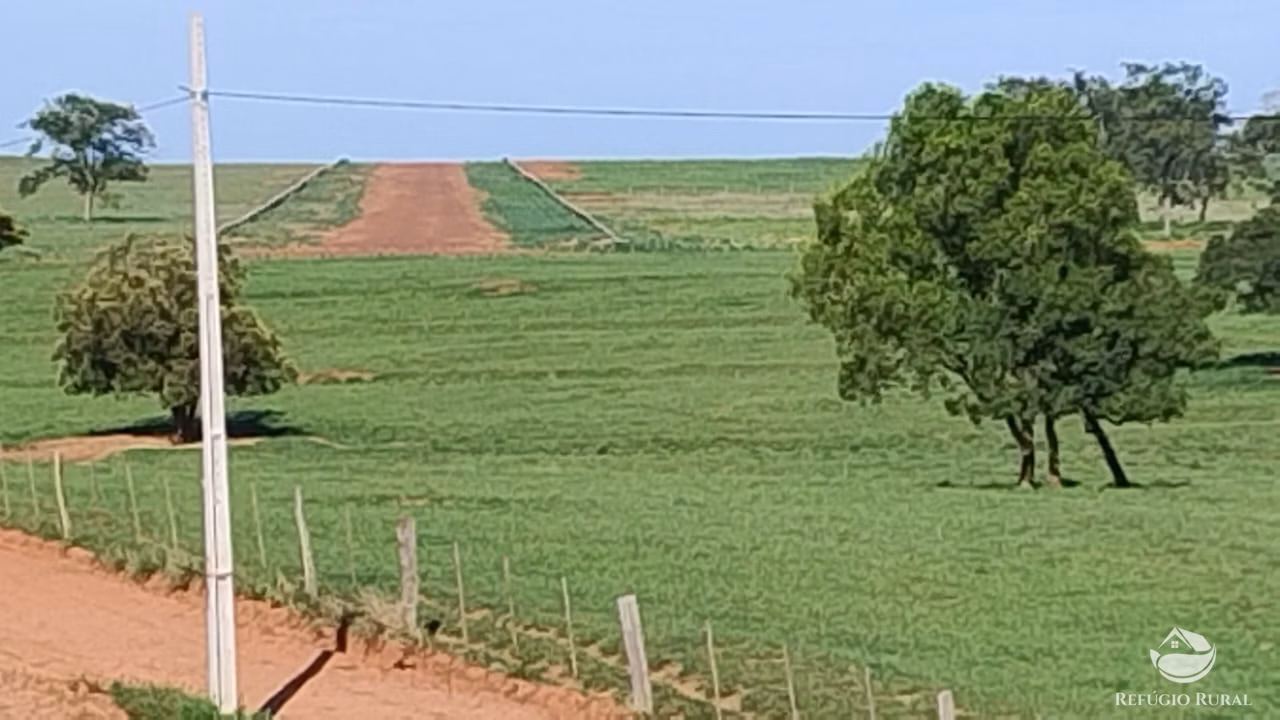 Fazenda de 4.200 ha em Guiratinga, MT