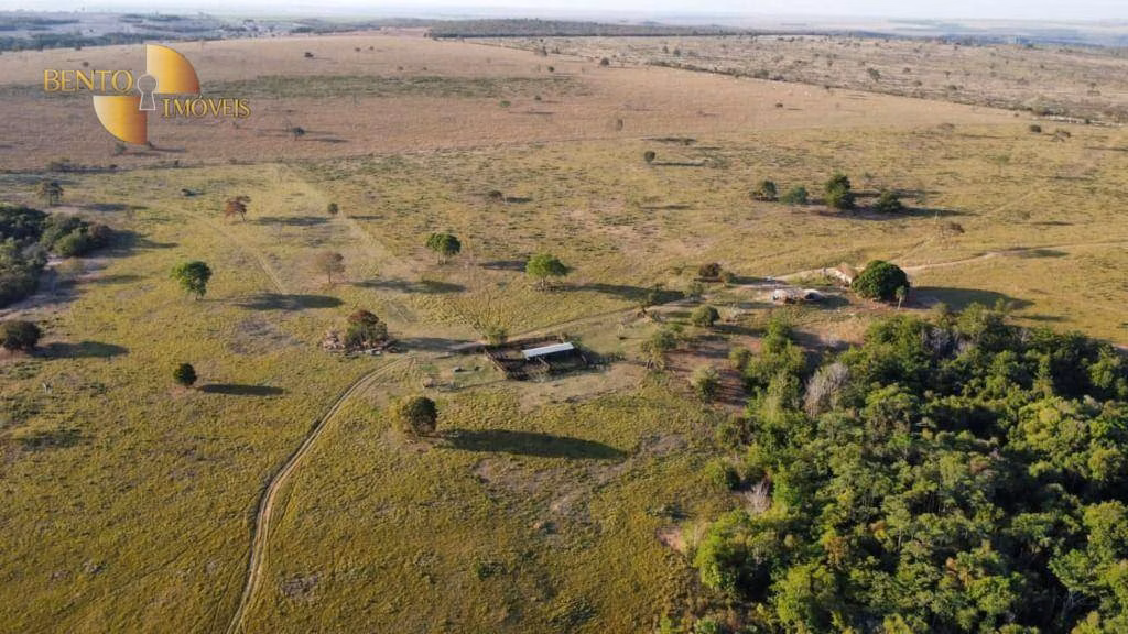 Fazenda de 760 ha em Juscimeira, MT
