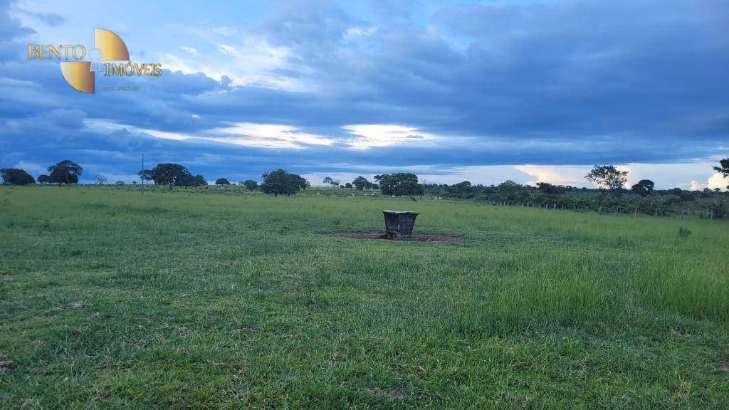 Fazenda de 760 ha em Juscimeira, MT