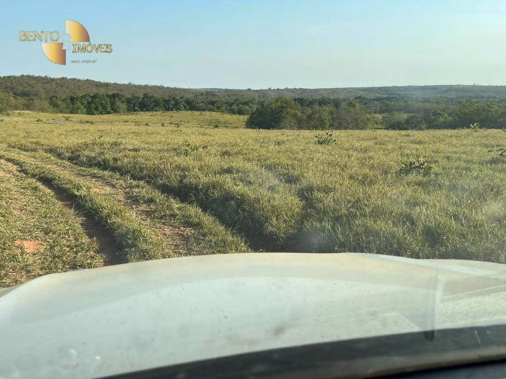 Fazenda de 760 ha em Juscimeira, MT