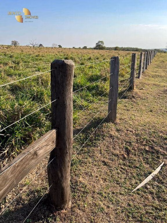 Fazenda de 760 ha em Juscimeira, MT