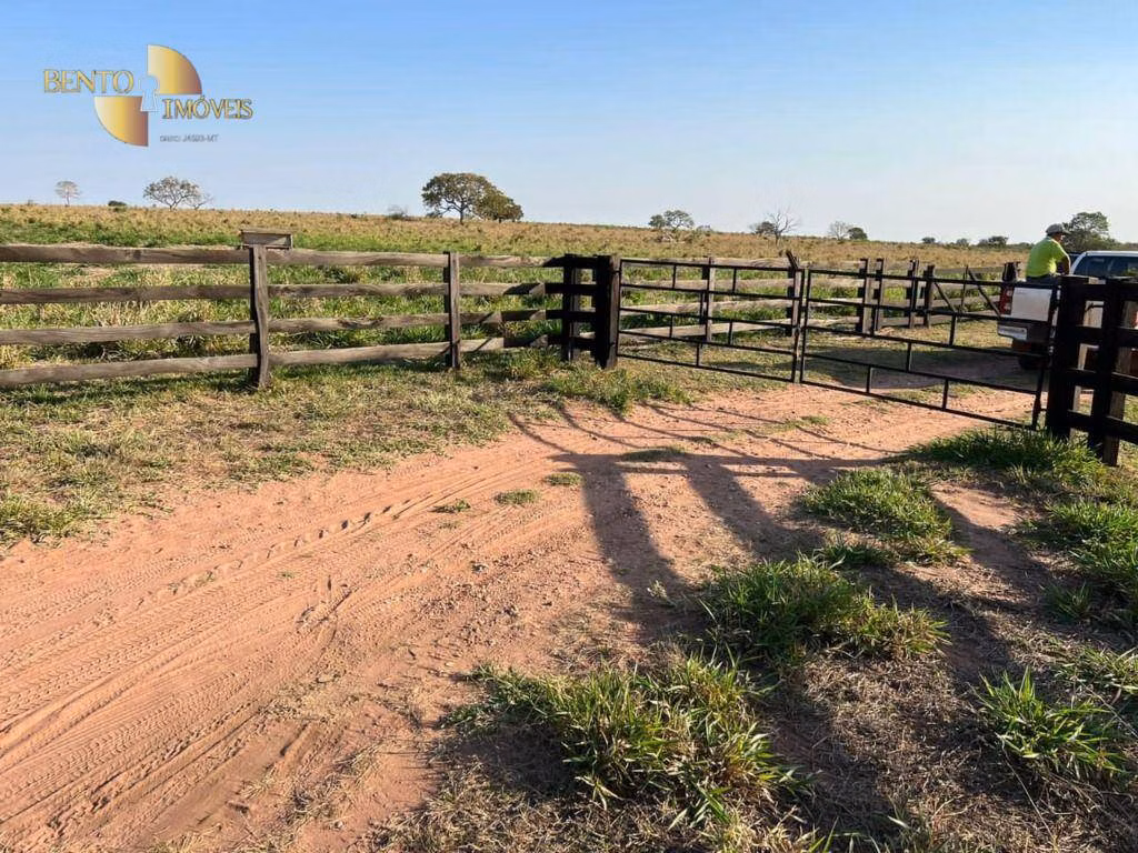 Fazenda de 760 ha em Juscimeira, MT