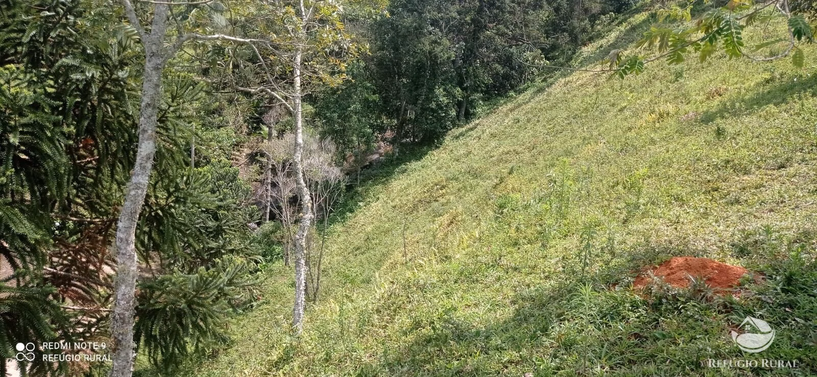 Sítio de 21 ha em São José dos Campos, SP