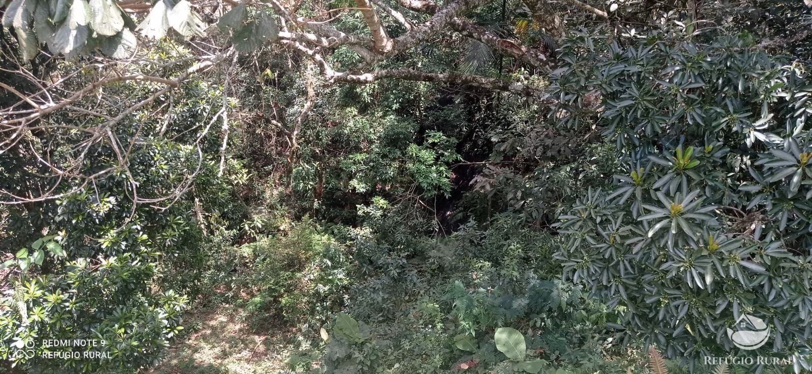 Sítio de 21 ha em São José dos Campos, SP