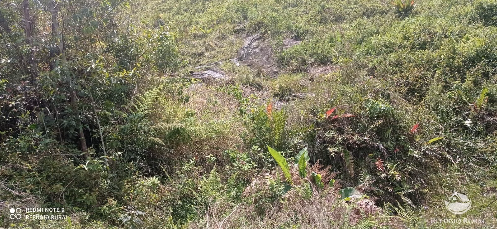 Sítio de 21 ha em São José dos Campos, SP
