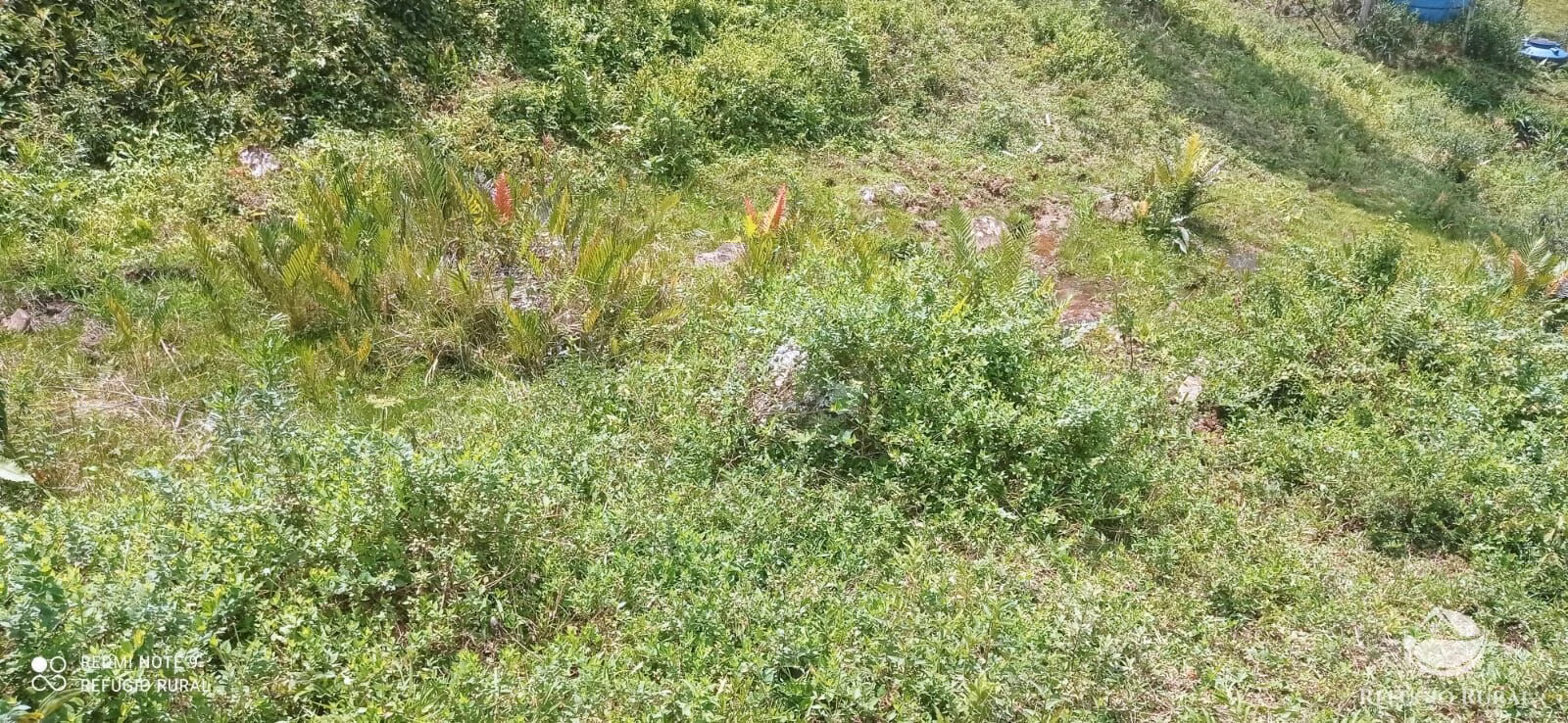 Sítio de 21 ha em São José dos Campos, SP