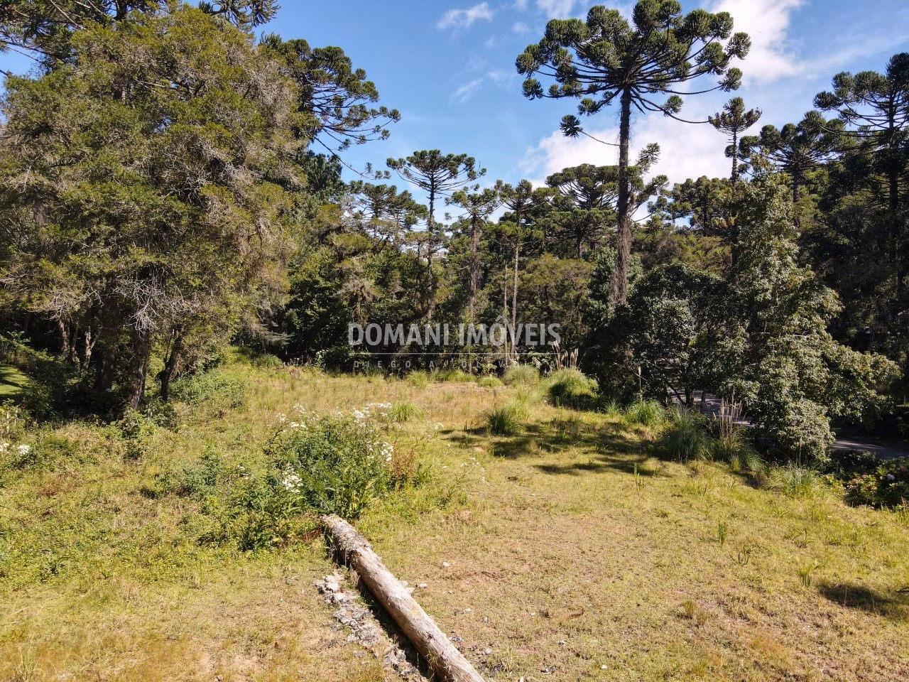 Plot of 2,865 m² in Campos do Jordão, SP, Brazil