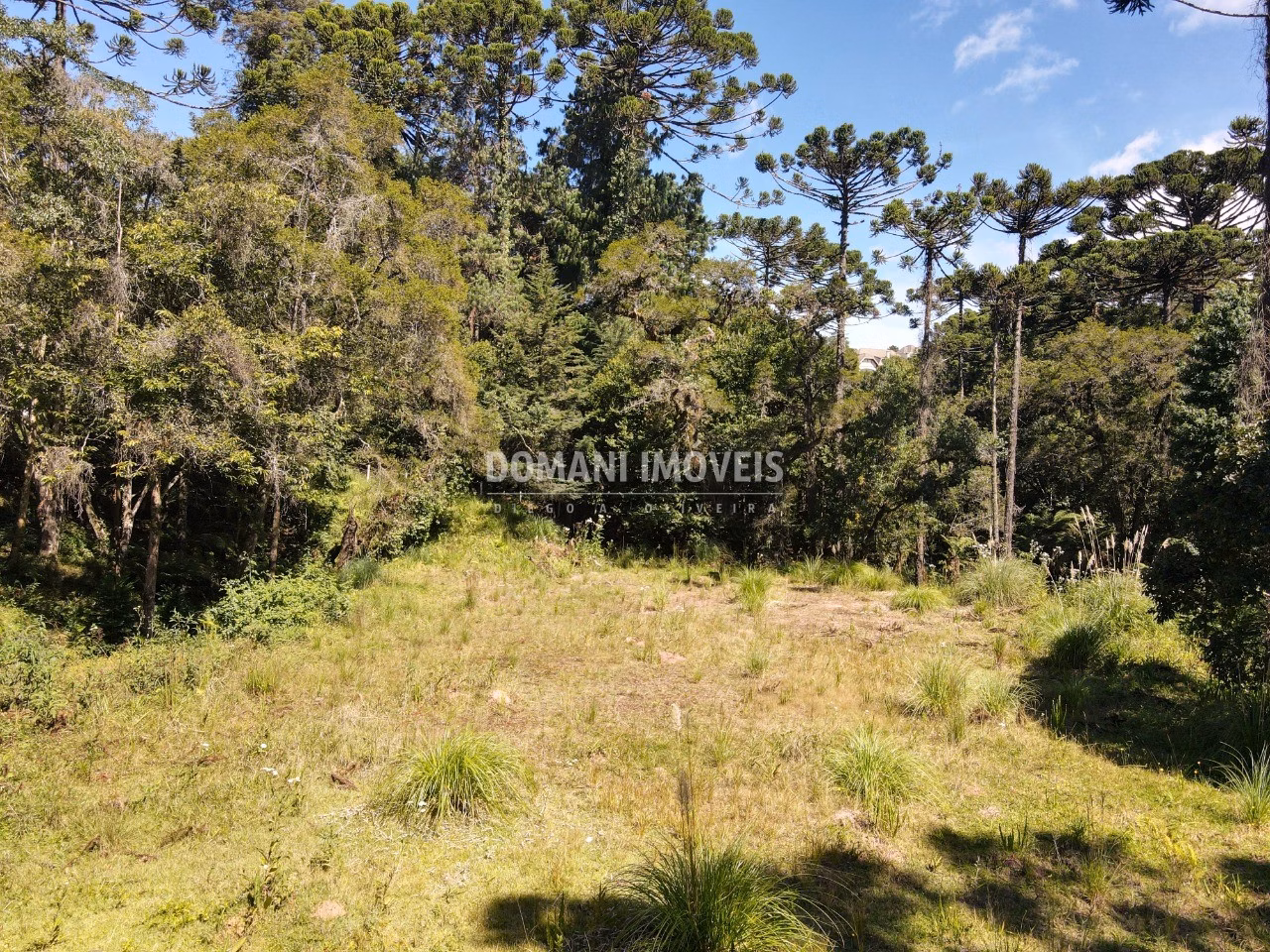Plot of 2,865 m² in Campos do Jordão, SP, Brazil