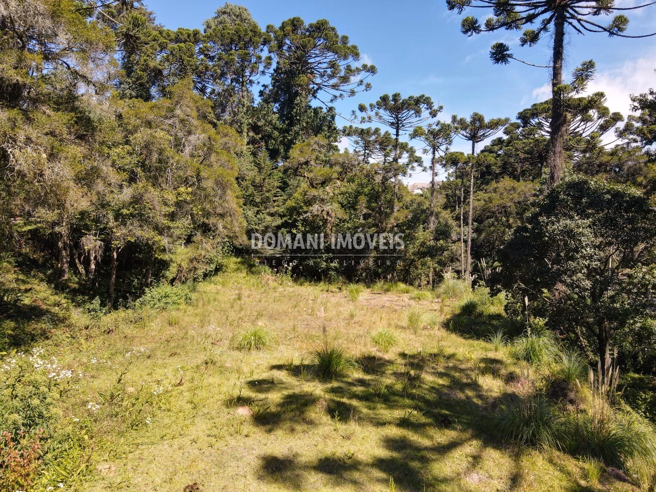 Plot of 2,865 m² in Campos do Jordão, SP, Brazil