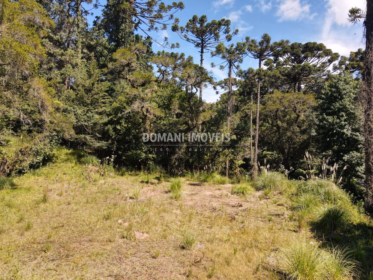 Plot of 2,865 m² in Campos do Jordão, SP, Brazil