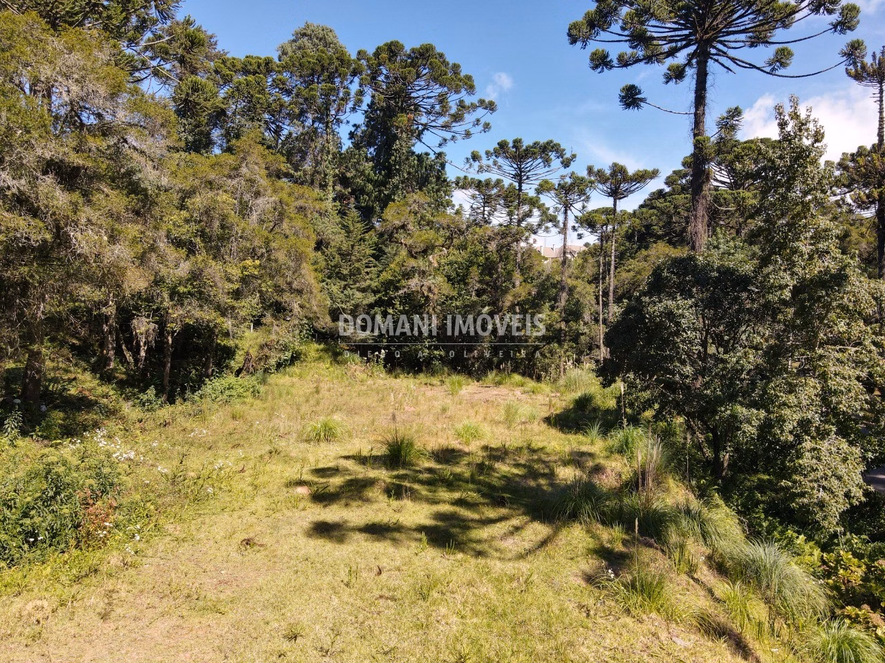 Plot of 2,865 m² in Campos do Jordão, SP, Brazil