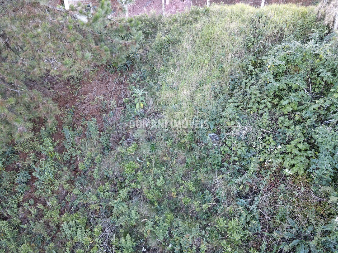 Plot of 310 m² in Campos do Jordão, SP, Brazil