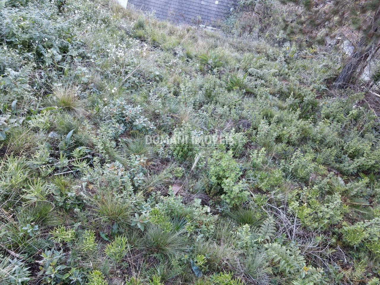 Plot of 310 m² in Campos do Jordão, SP, Brazil