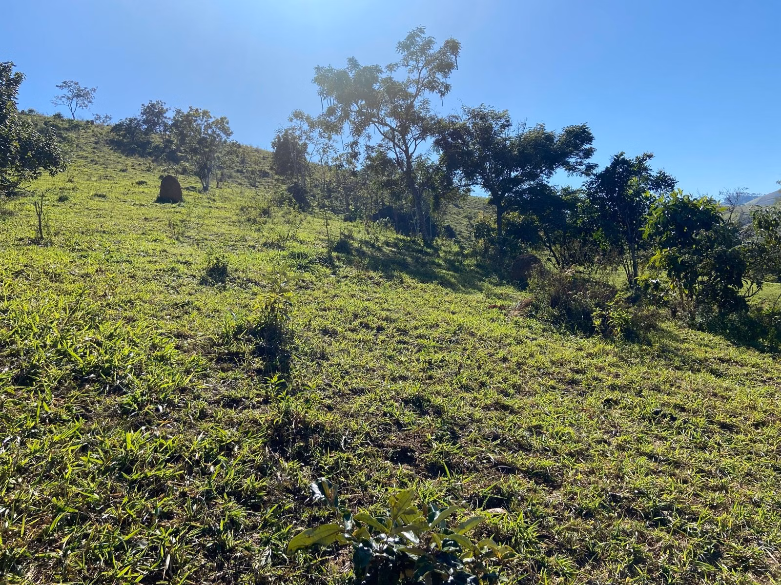 Sítio de 5 ha em São José dos Campos, SP