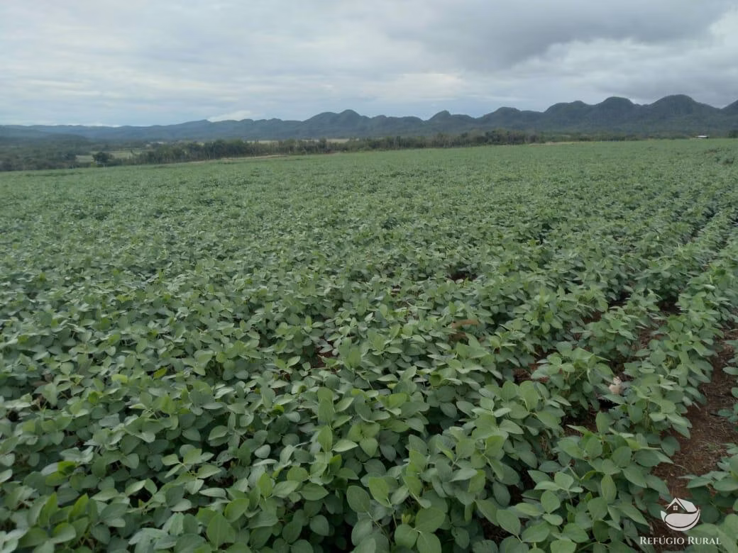 Fazenda de 1.897 ha em Niquelândia, GO