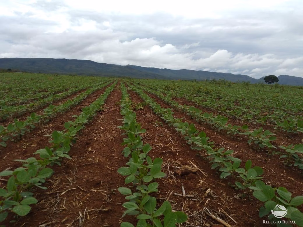 Fazenda de 1.897 ha em Niquelândia, GO