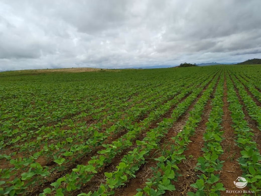 Fazenda de 1.897 ha em Niquelândia, GO