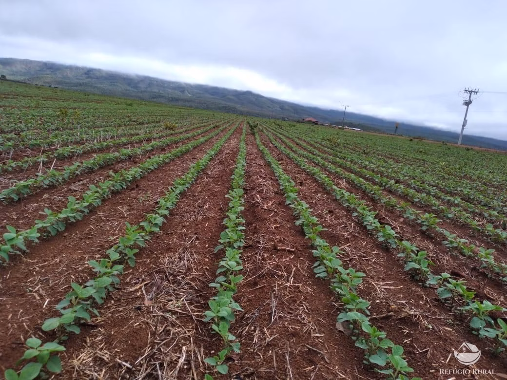 Fazenda de 1.897 ha em Niquelândia, GO