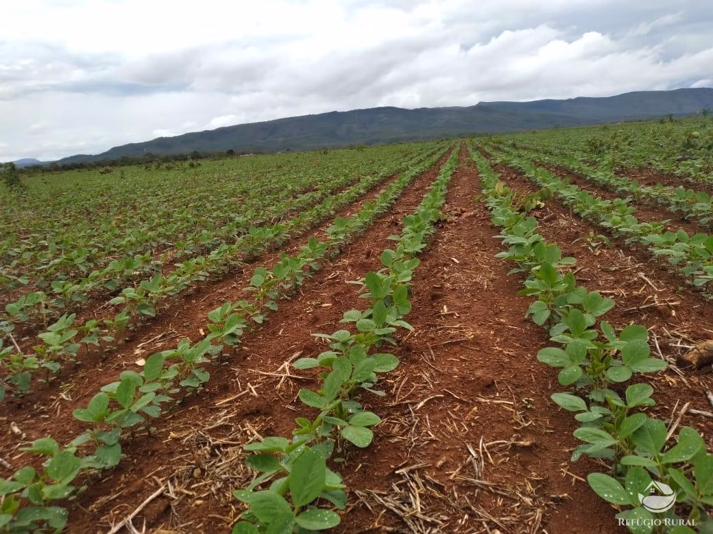 Fazenda de 1.897 ha em Niquelândia, GO
