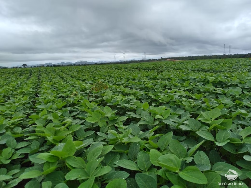 Fazenda de 1.897 ha em Niquelândia, GO