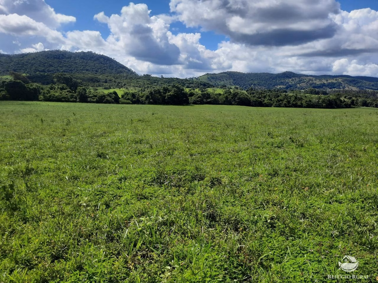 Fazenda de 1.897 ha em Niquelândia, GO