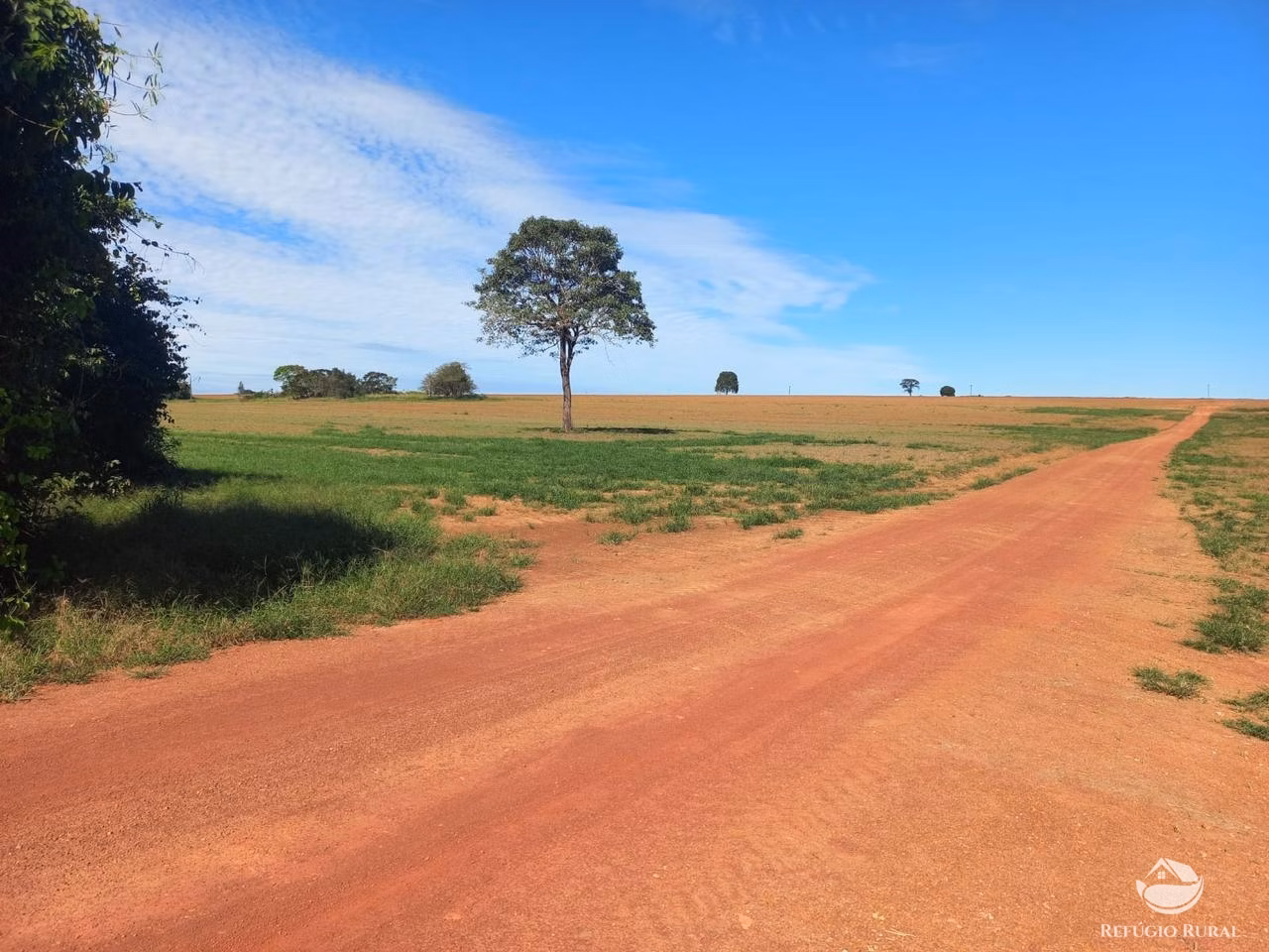 Fazenda de 1.897 ha em Niquelândia, GO