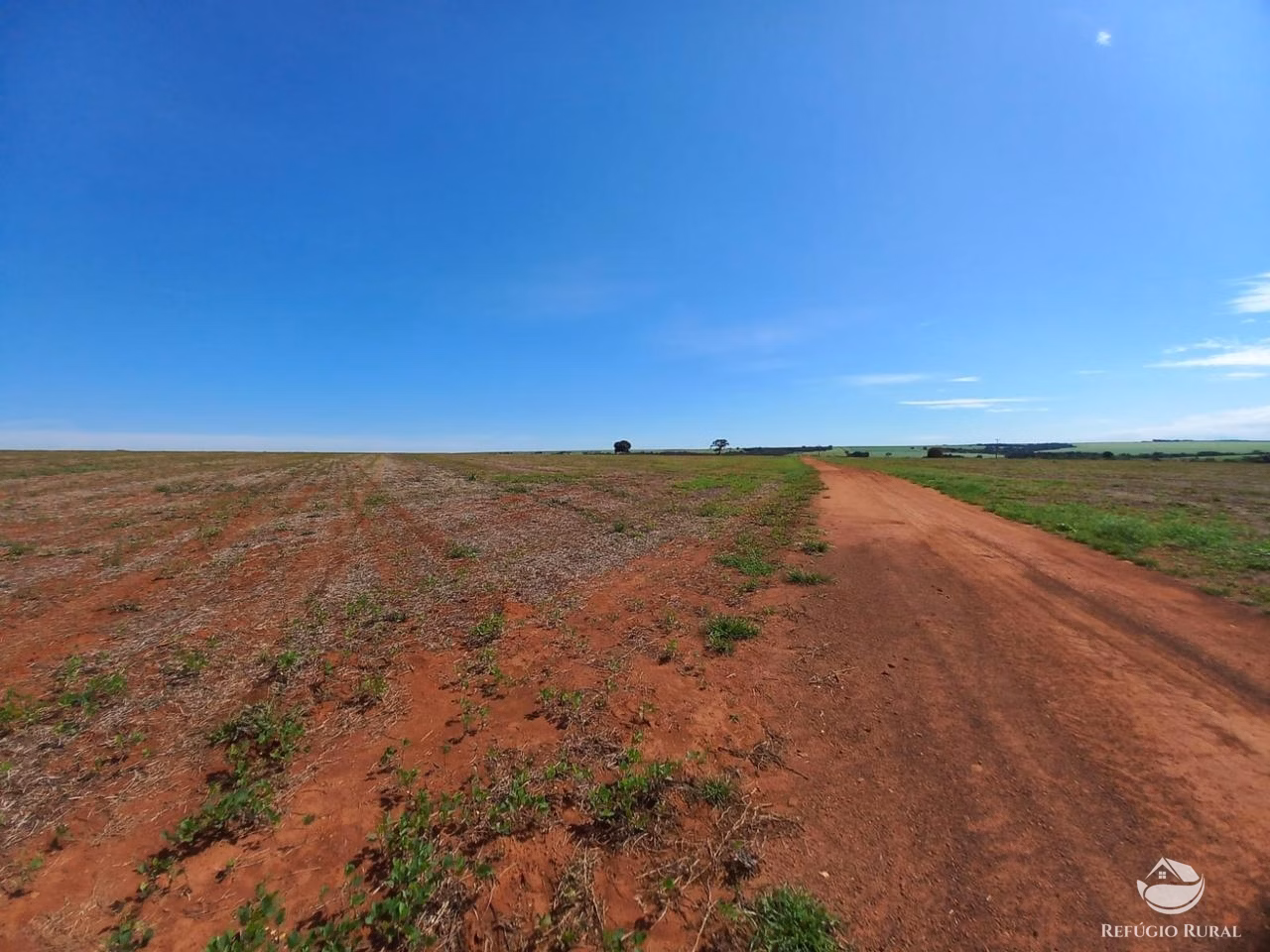 Fazenda de 1.897 ha em Niquelândia, GO