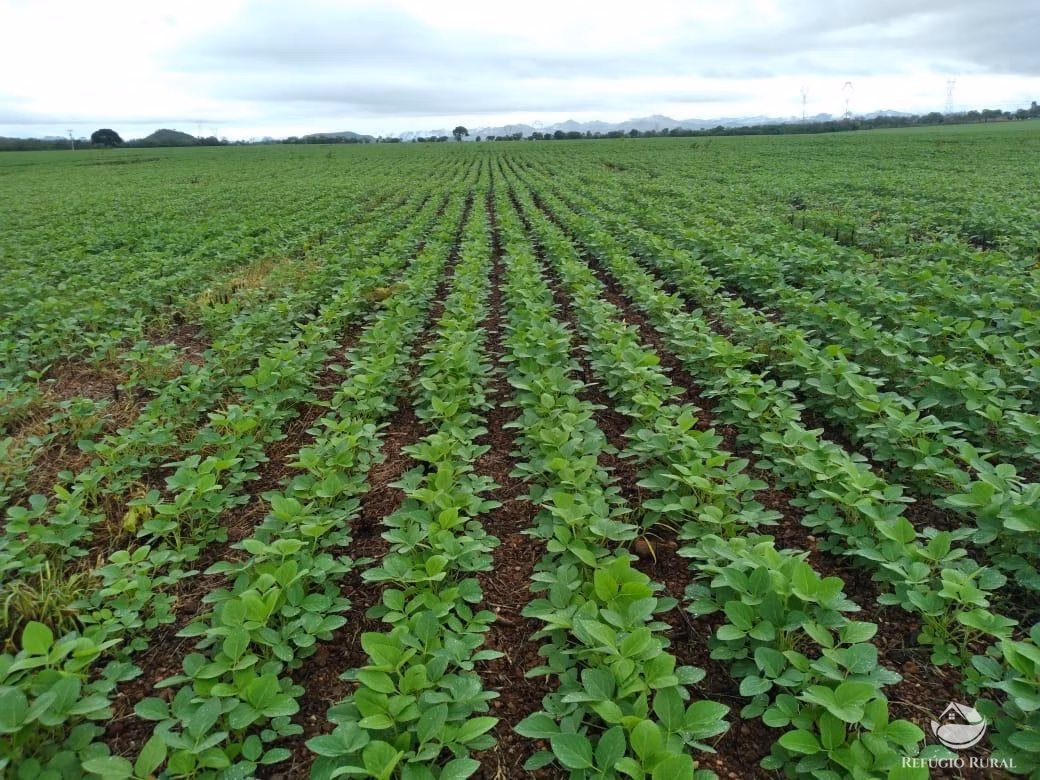 Fazenda de 1.897 ha em Niquelândia, GO