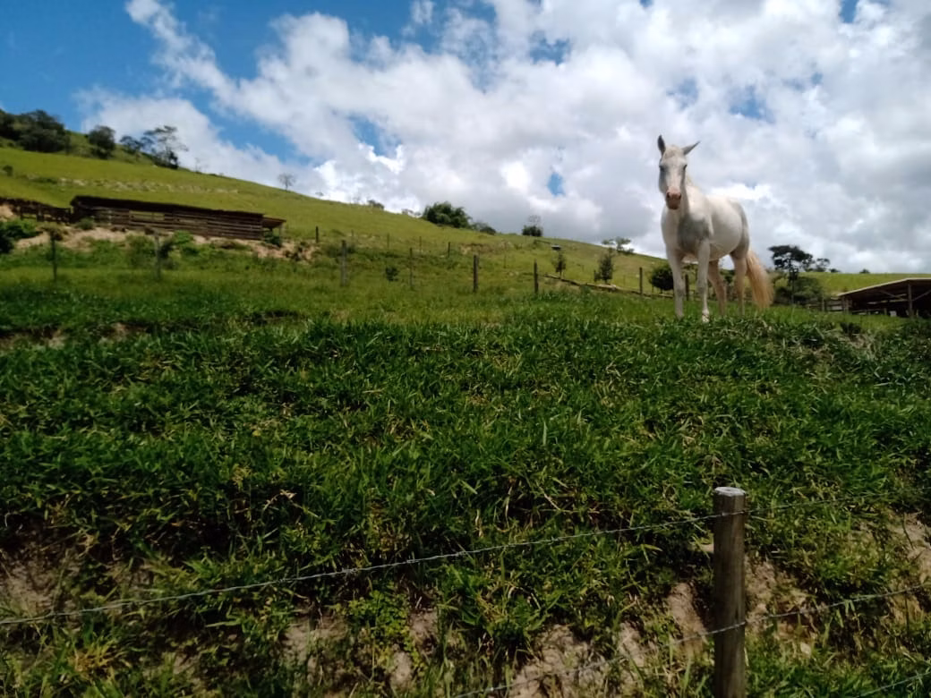 Sítio de 5 ha em Paraibuna, SP