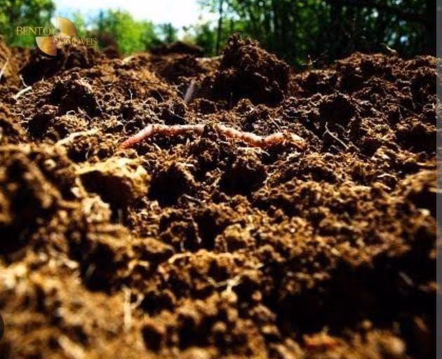 Fazenda de 340 ha em Poconé, MT