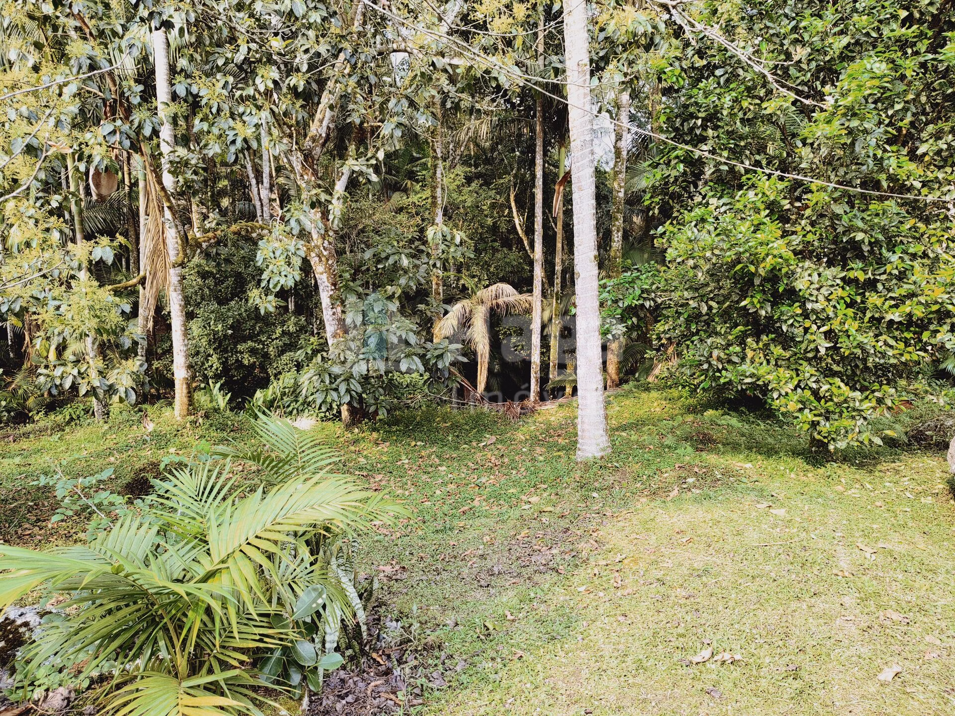 Chácara de 5 ha em Guabiruba, SC
