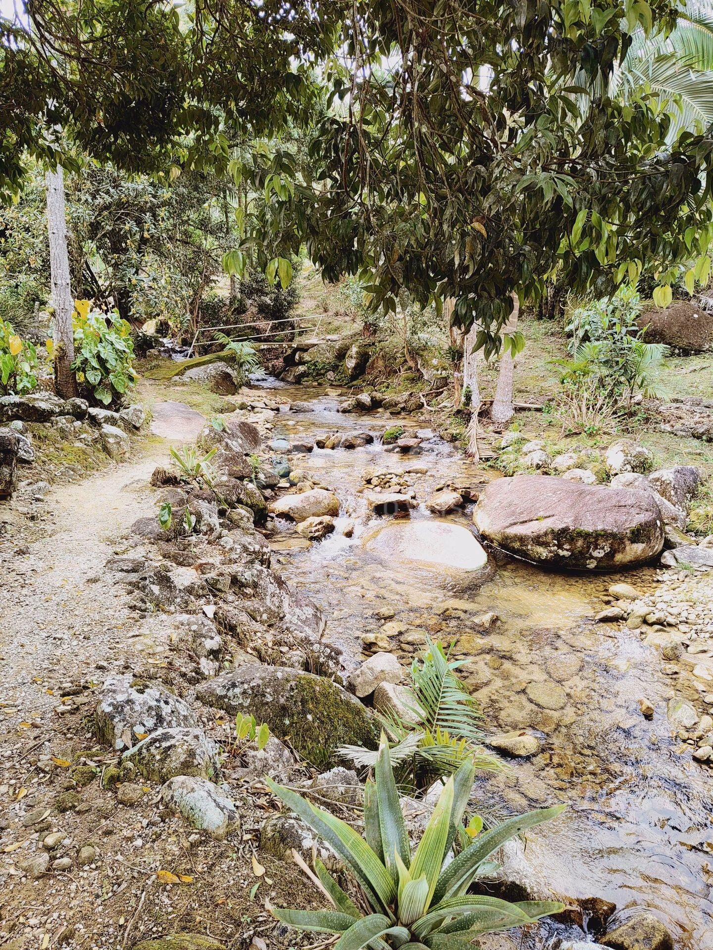 Chácara de 5 ha em Guabiruba, SC