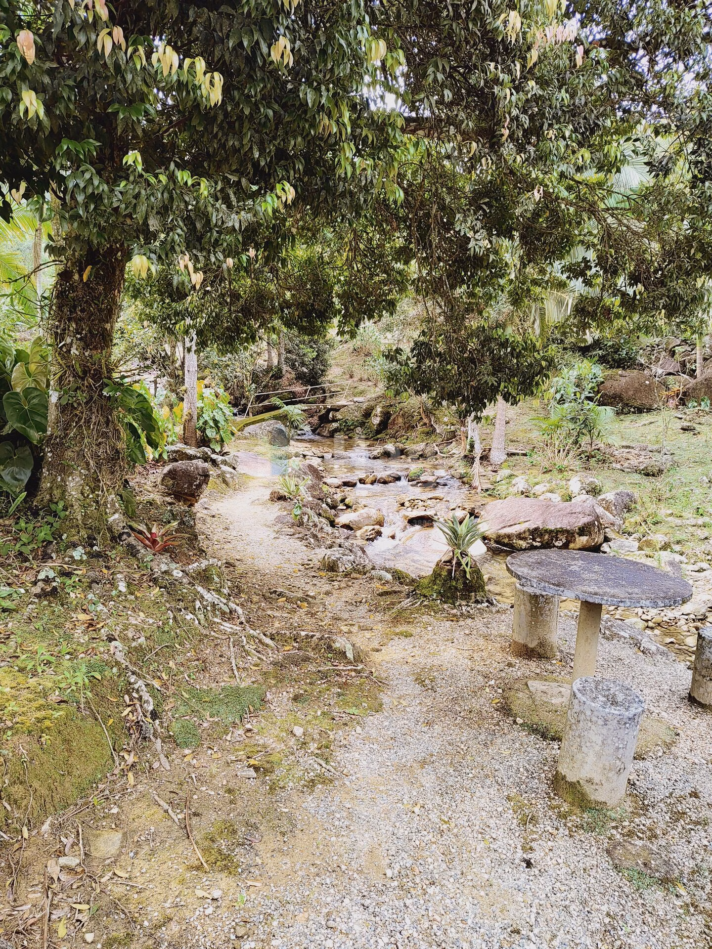 Chácara de 5 ha em Guabiruba, SC