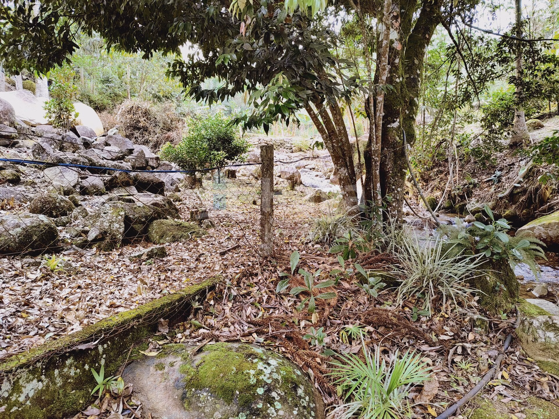 Chácara de 5 ha em Guabiruba, SC
