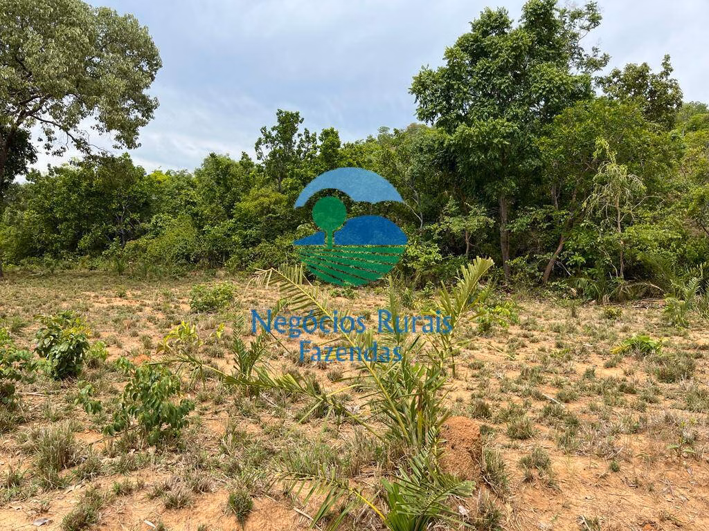 Fazenda de 1.403 ha em São Salvador do Tocantins, TO