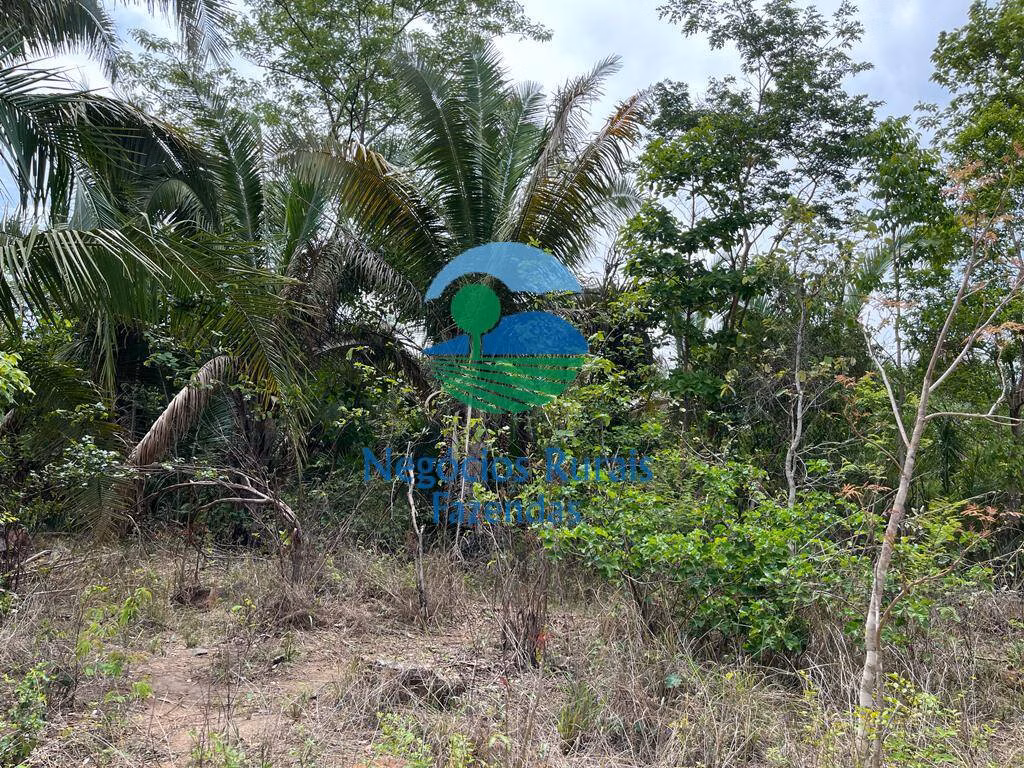 Fazenda de 1.403 ha em São Salvador do Tocantins, TO