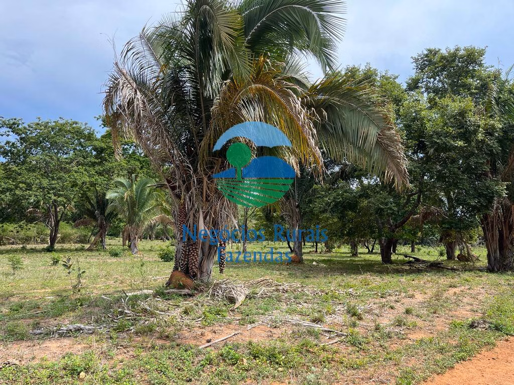 Fazenda de 1.403 ha em São Salvador do Tocantins, TO