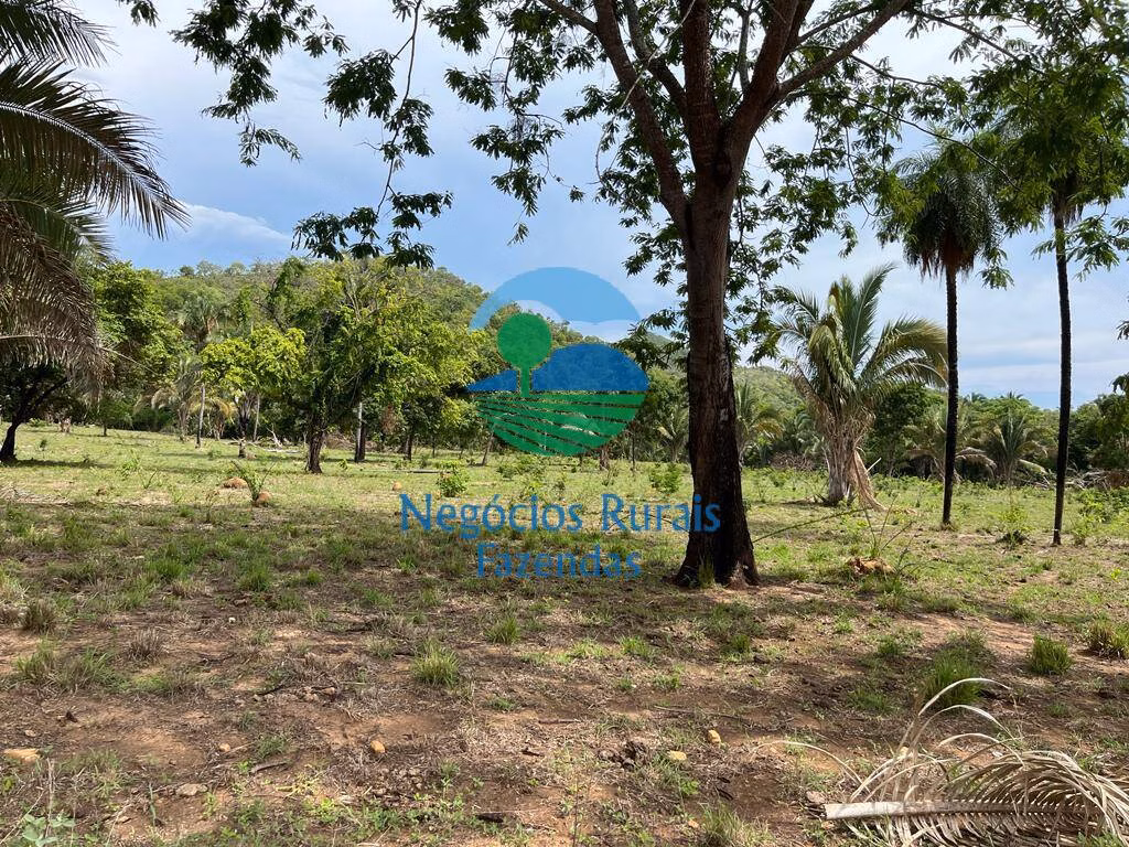 Fazenda de 1.403 ha em São Salvador do Tocantins, TO
