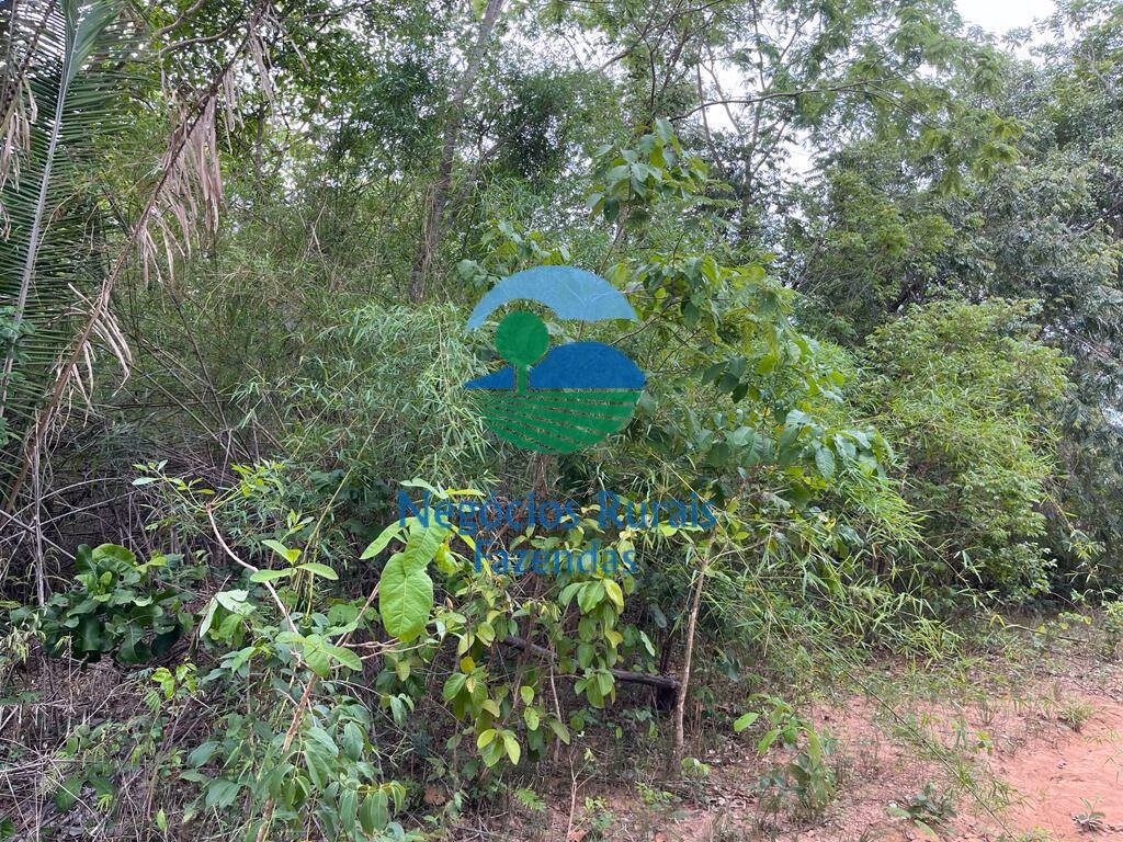 Fazenda de 1.403 ha em São Salvador do Tocantins, TO
