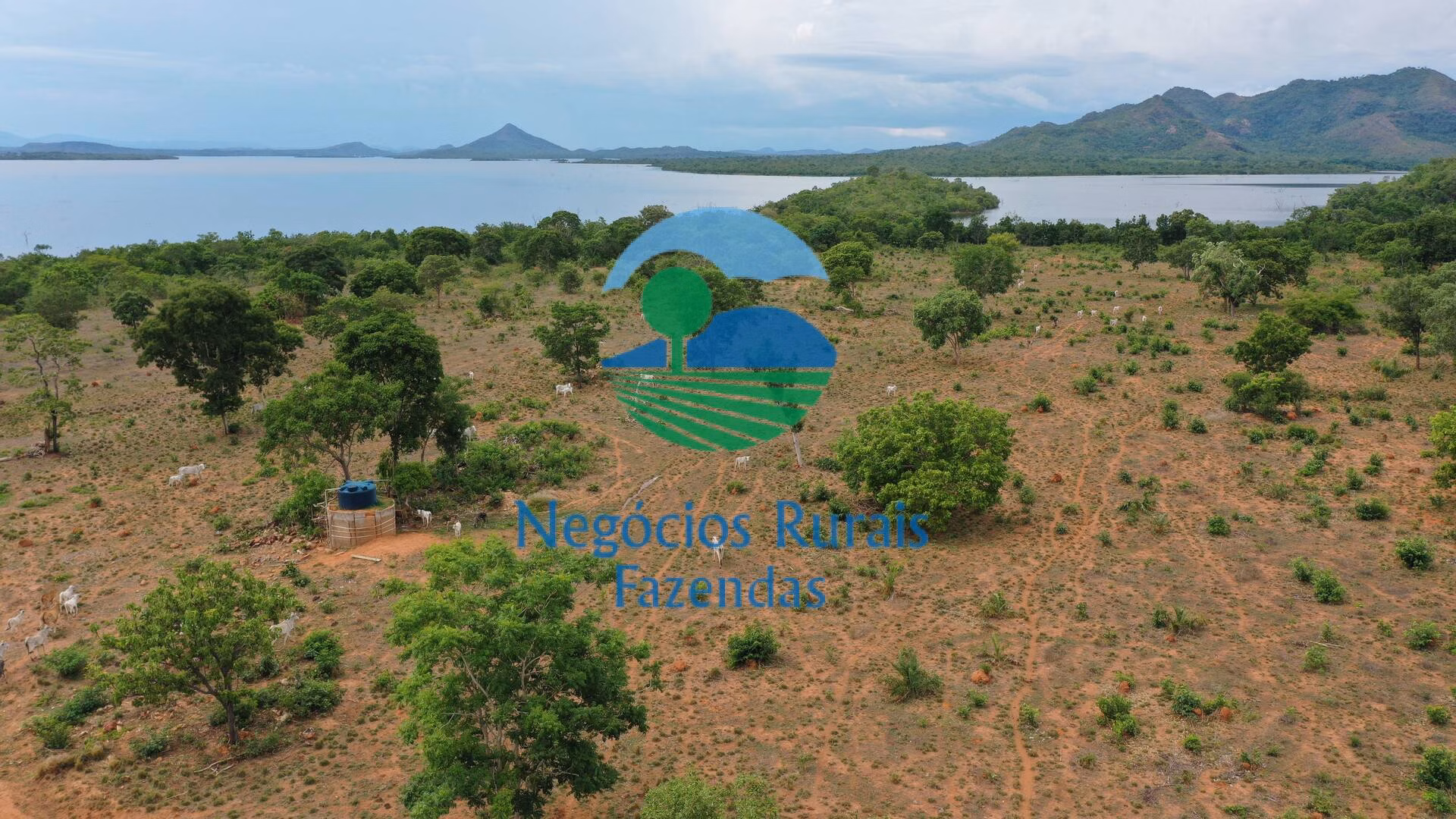 Fazenda de 1.403 ha em São Salvador do Tocantins, TO